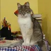 Отзыв от Лия Шевцова